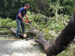Best Lawn Renovation and Restoration  in Butner, NC